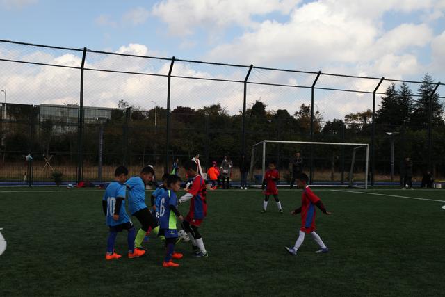 英超-加克波破门萨拉赫制胜 利物浦2-1布莱顿